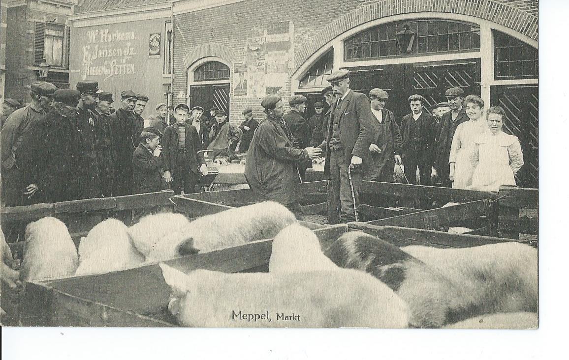Meppel (DR), Markt