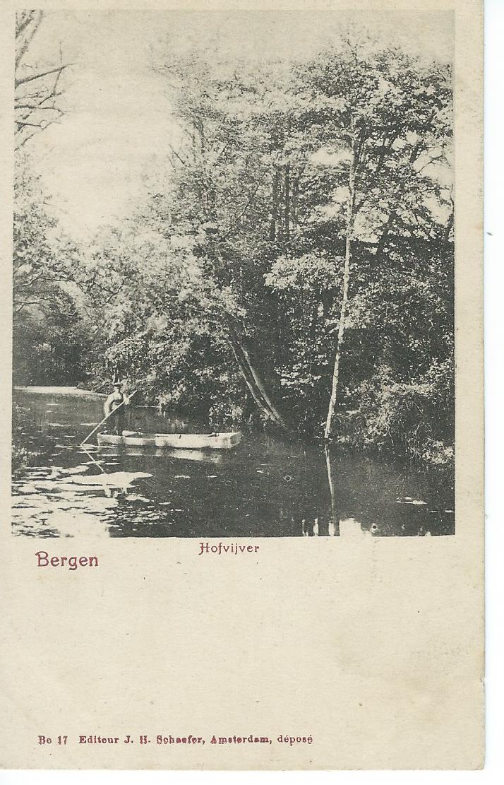 Bergen (NH), Hofvijver