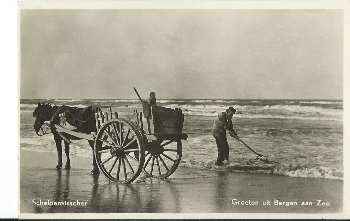 Bergen aan Zee (NH), Schelpenvisscher