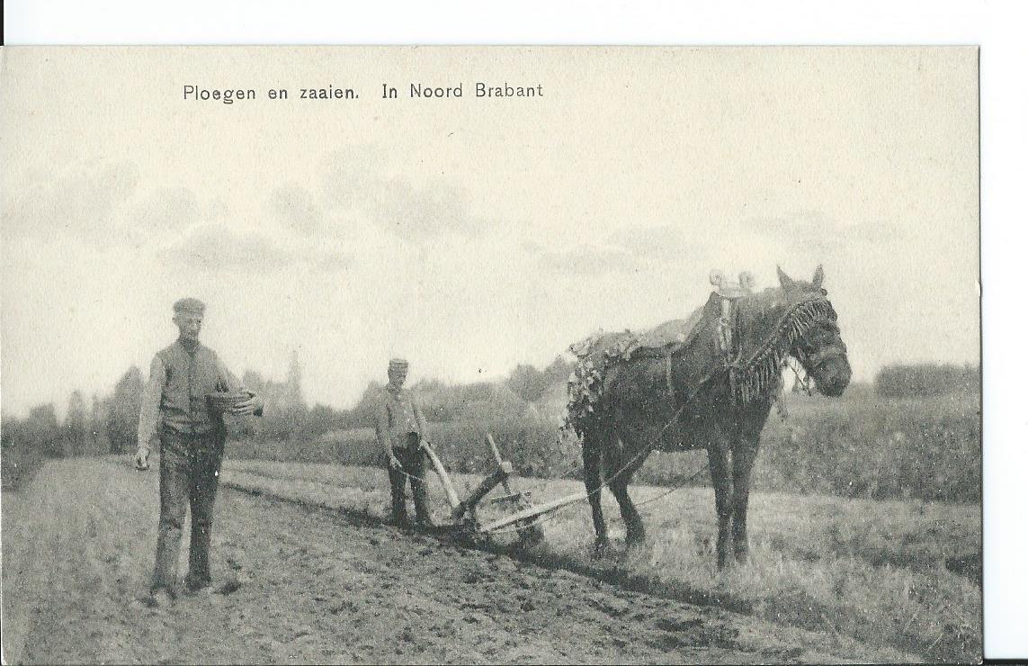 Noord-Brabant (NB), Ploegen en zaaien