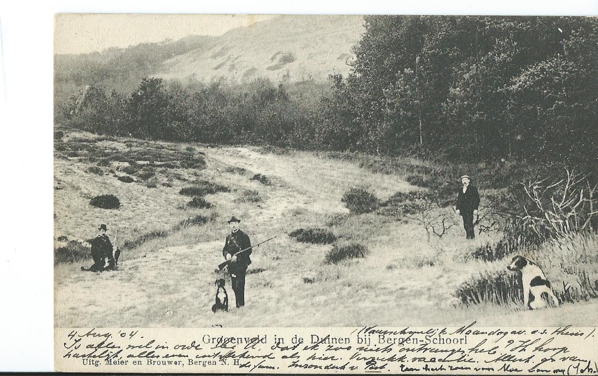 Bergen (NH), Groenveld in de duinen bij Bergen-Schoorl