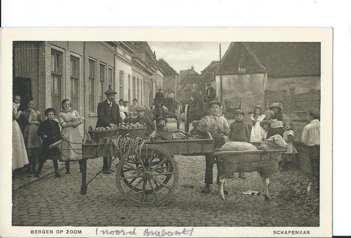 Bergen op Zoom (NB), Schapenkar, 2675