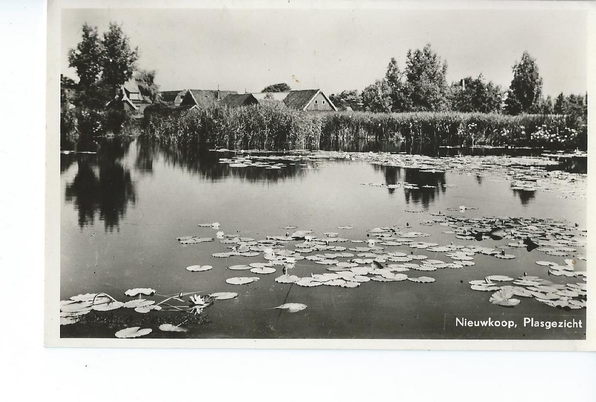 Nieuwkoop (ZH), Plasgezicht, 2668