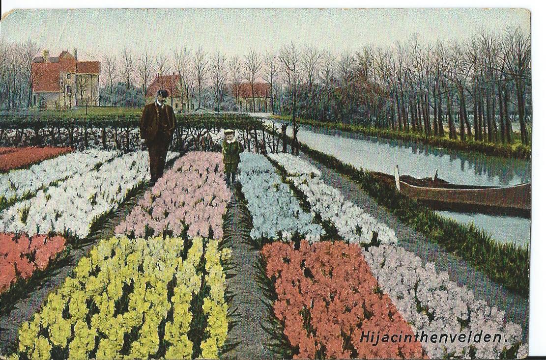 Heemstede (NH)