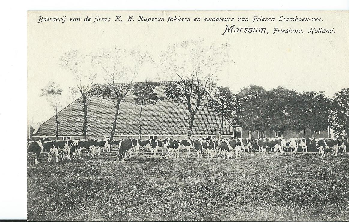 Marssum (FR), Boerderij van de firma K.N. Kuperus