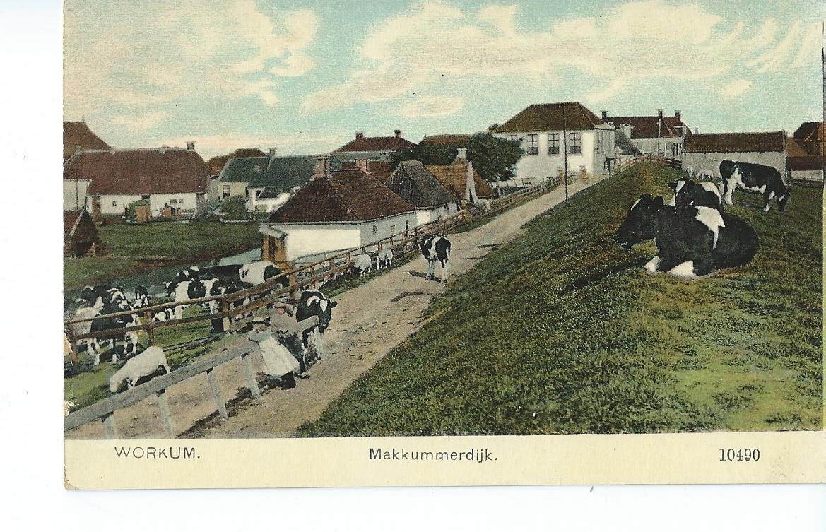 Workum (FR), Makkummerdijk