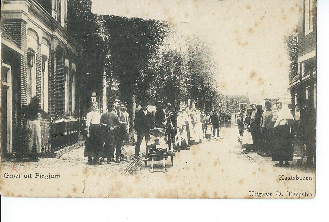 Pingjum (FR), Groet, Kaatsburen,  2806