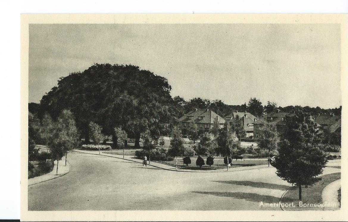 Amersfoort (UT), Borneolaan