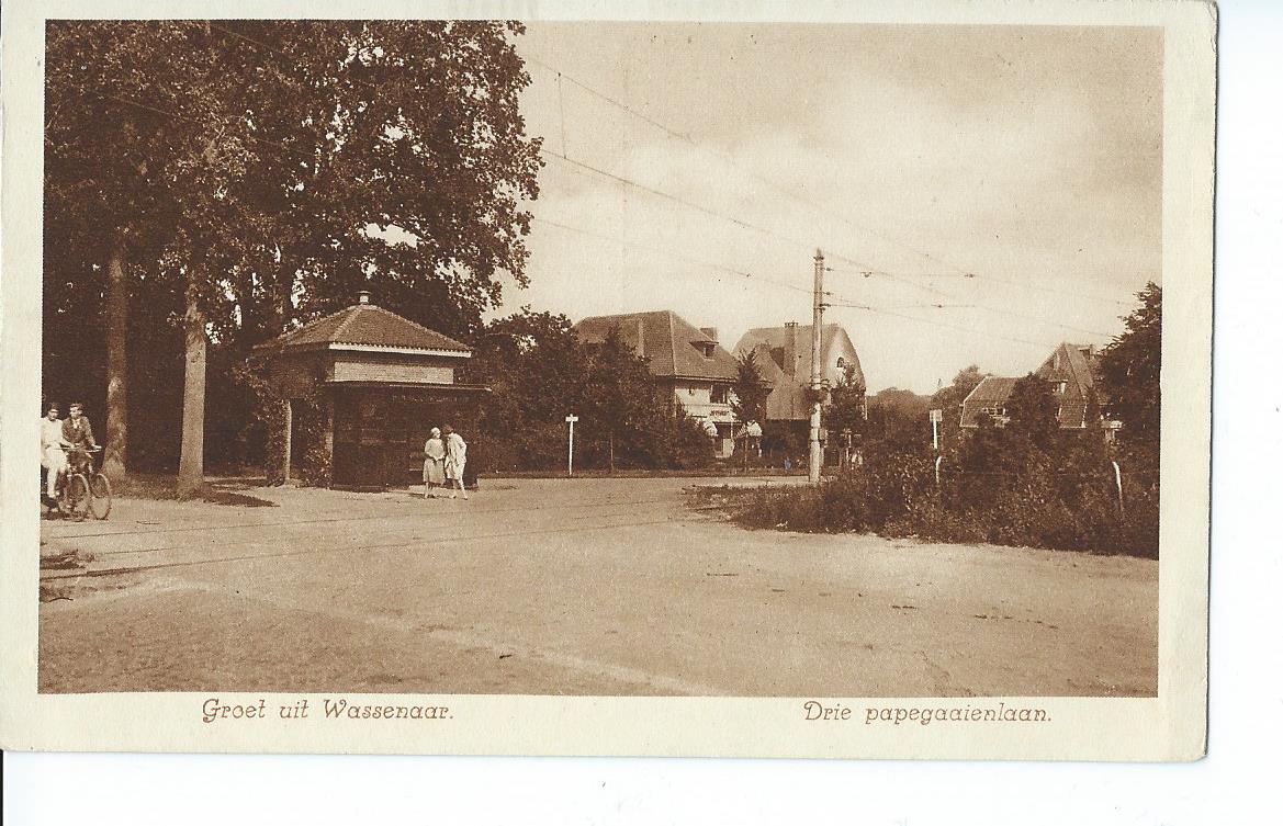 Wassenaar (ZH), Drie papegaaienlaan