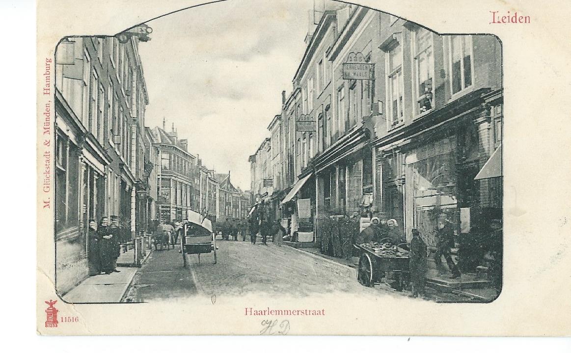 Leiden (ZH), Haarlemmerstraat