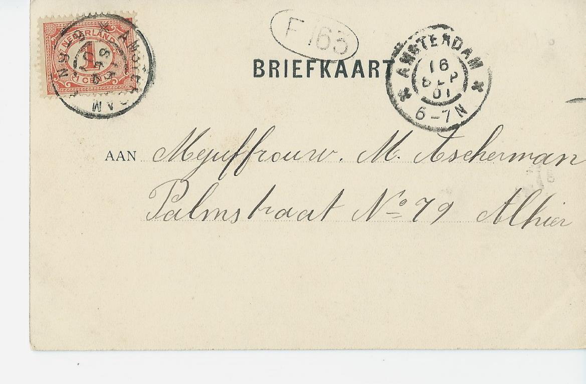Edam (NH), Edam - 2399