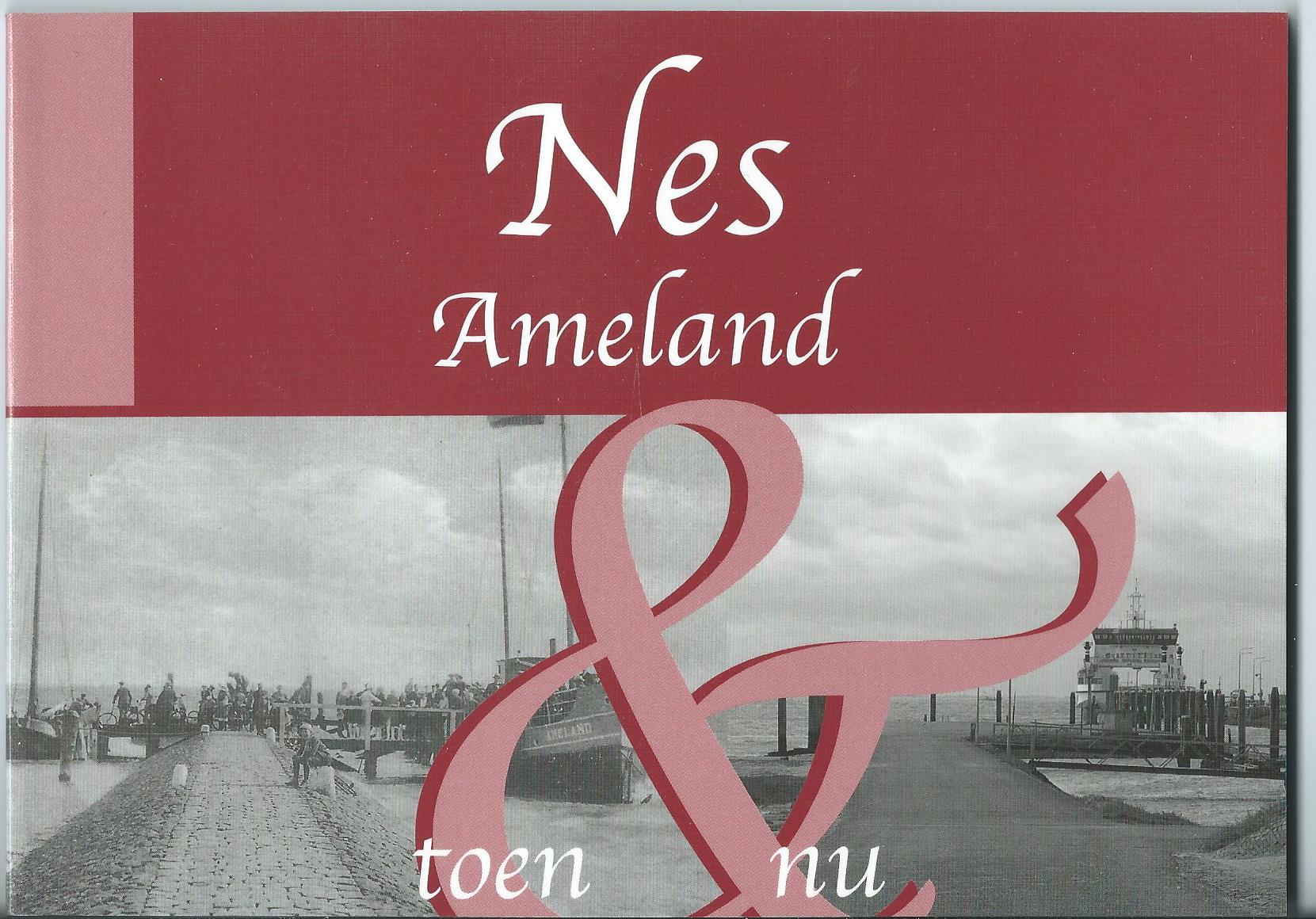 Nes (FR), Boek: Nes Ameland toen & nu