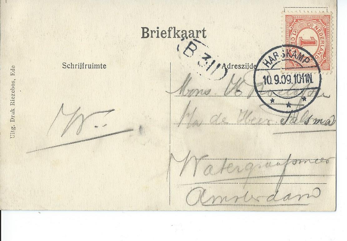 Midwolde (GR), Nienoort