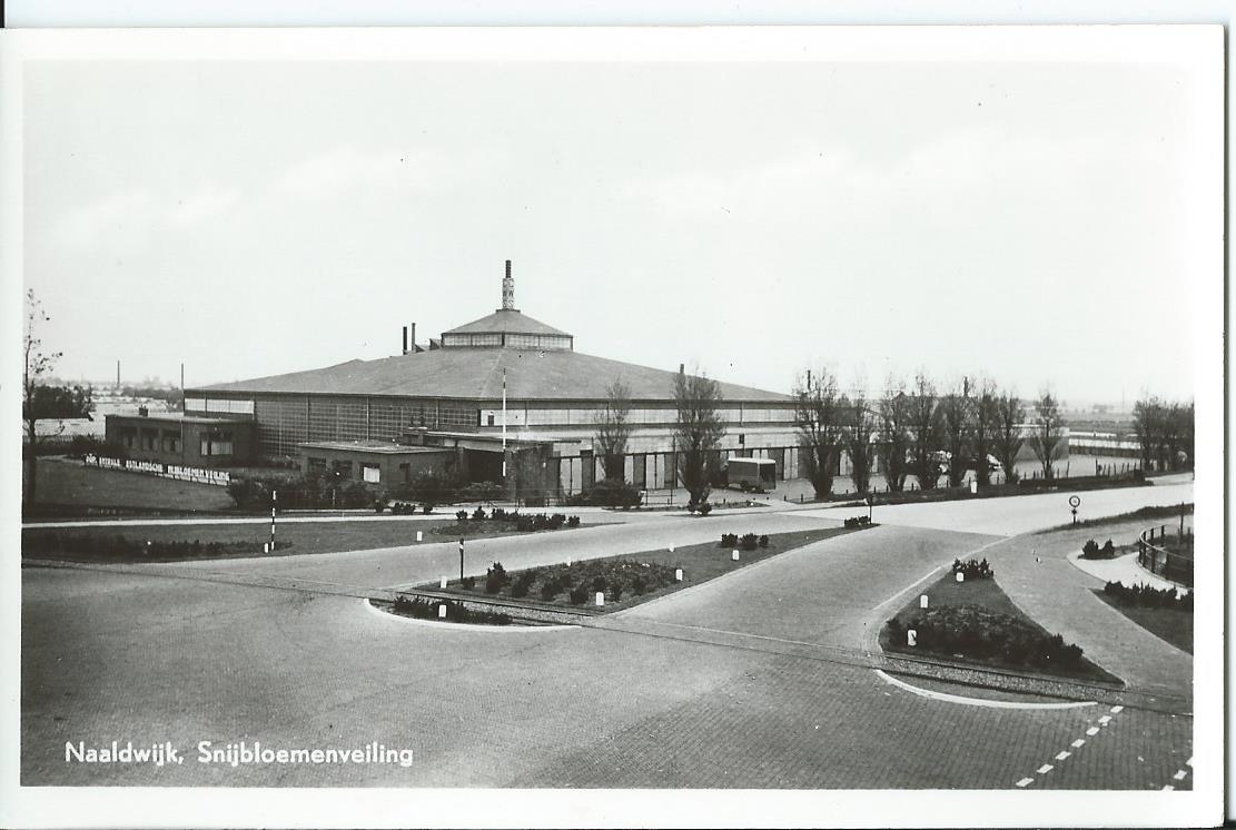 Naaldwijk (ZH), Snijbloemenveiling