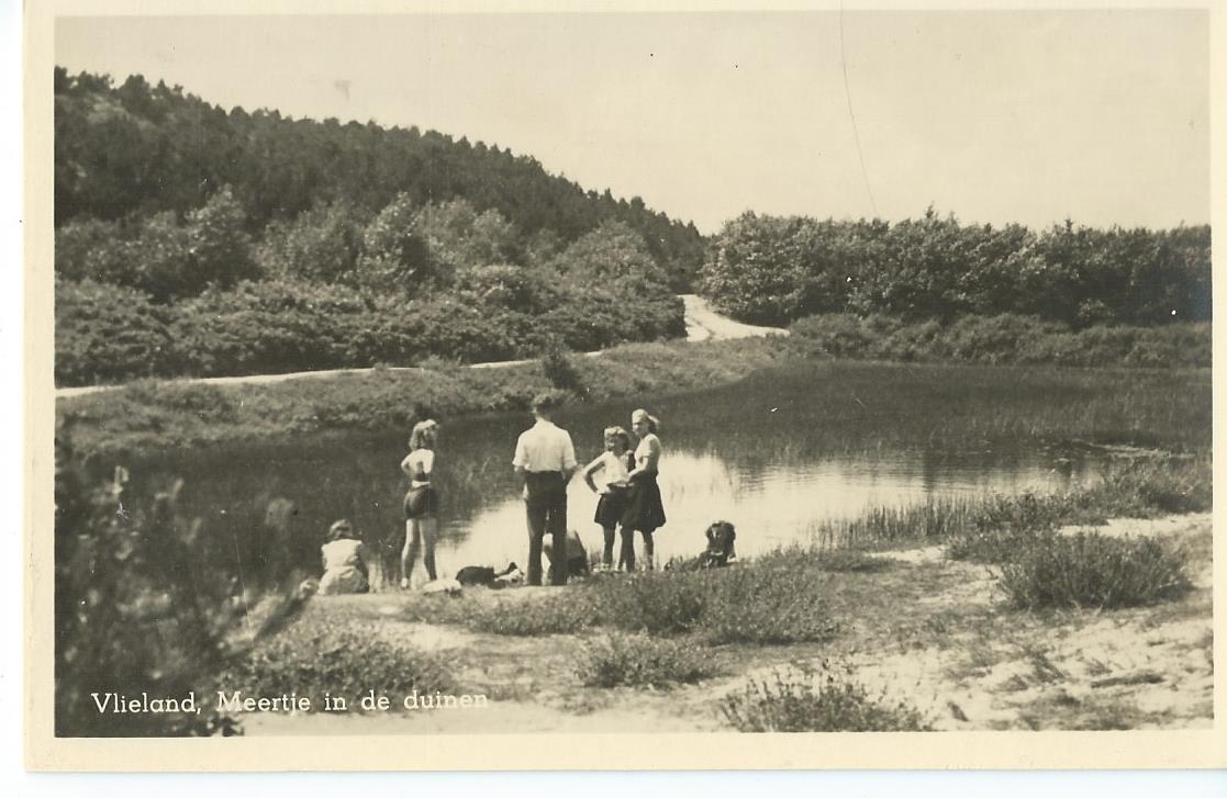 Vlieland (FR), Meertje in de duinen