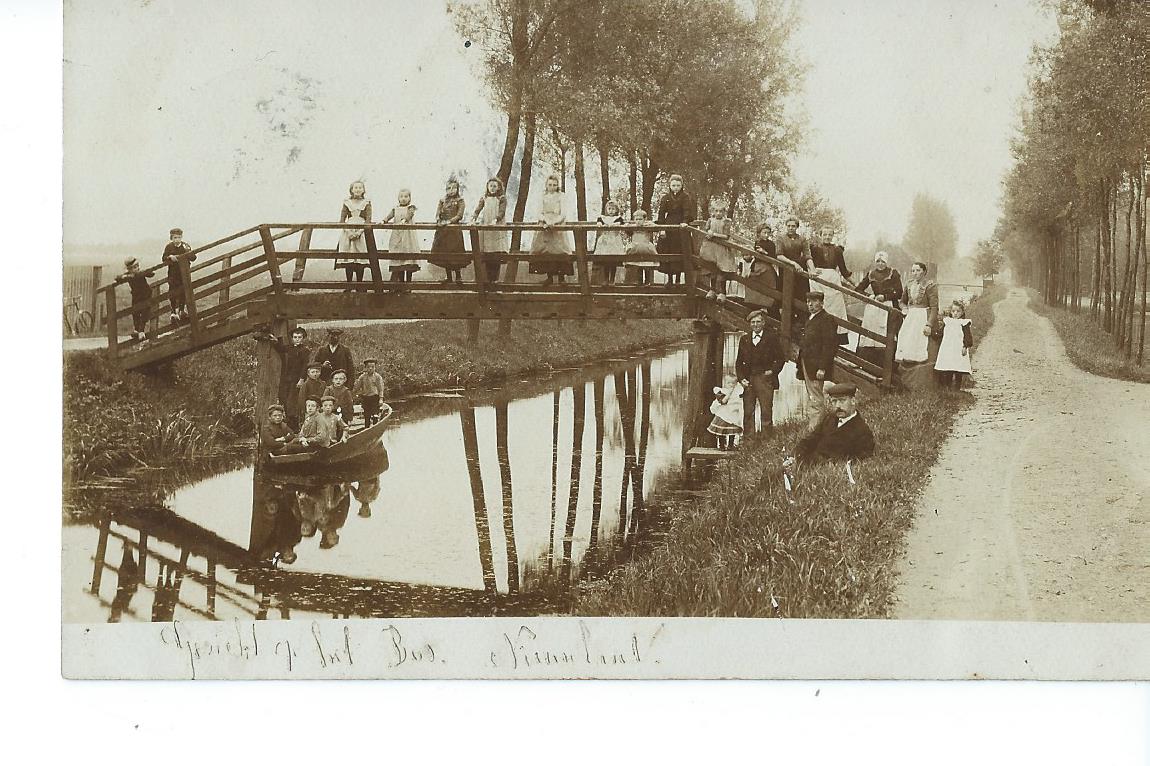 Nieuwland (UT), Gezicht op het Bos . 2606