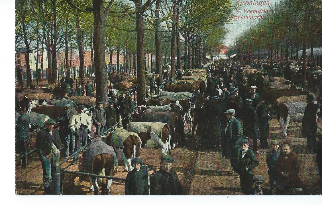 Groningen (GR), 1351, N. Veemarkt, Koeienmarkt
