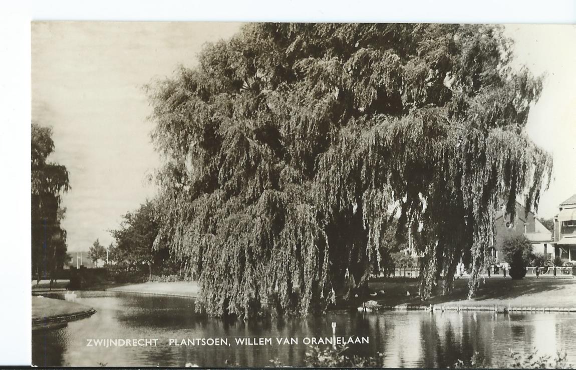 Zwijndrecht (ZH), Plantsoen, Willem van Oranjelaan