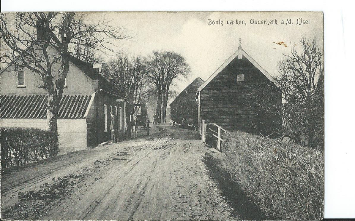 Ouderkerk a.d. IJssel (ZH), Bonte varken