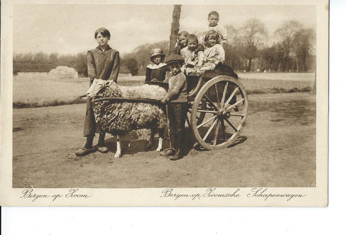 Bergen op Zoom (NB), Bergen op Zoomsche Schapenwagen, 2674
