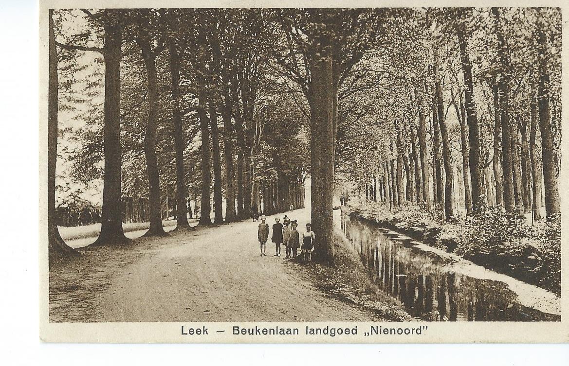 Leek (GR), Beukenlaan landgoed "Nienoord"