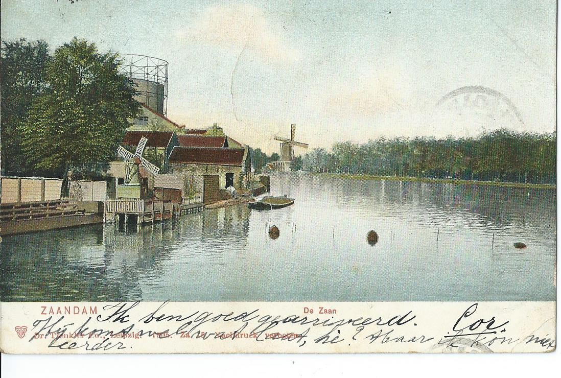 Zaandam (NH), De Zaan
