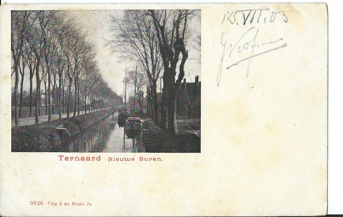 Ternaard (FR), Nieuwe Buren