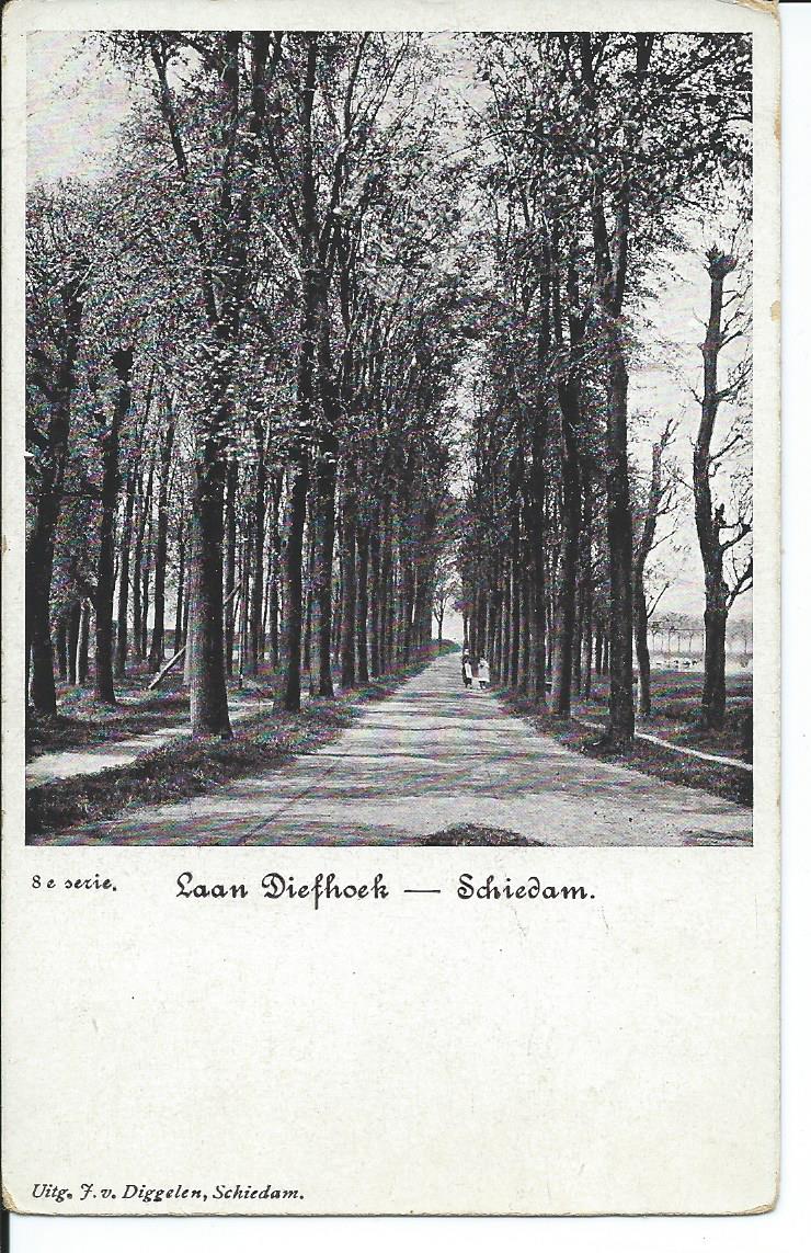 Schiedam (ZH), Laan Diefhoek