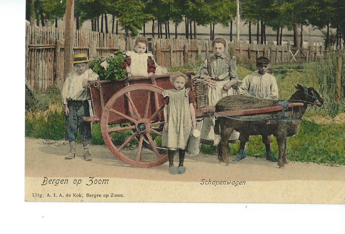 Bergen op Zoom (NB), Schapenwagen, 2673