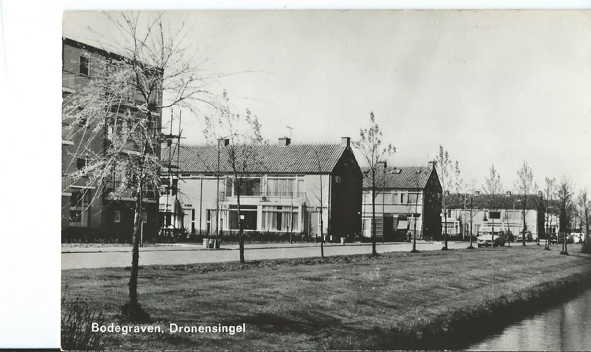 Bodegraven (ZH), Dronensingel