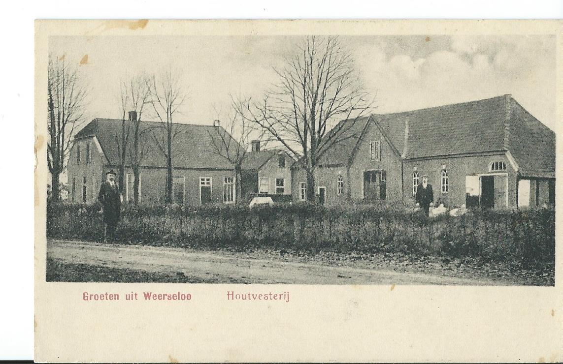 Weerselo (OV), Houtvesterij