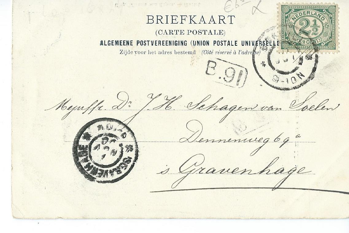Boxtel (NB), De reus van "Jachtrust", omtrek 5.25 M., 2566