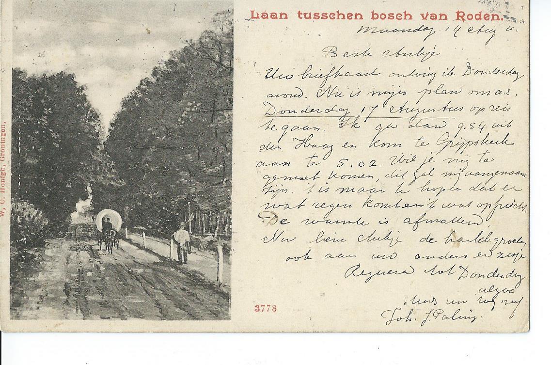 Roden (DR), Laan tusschen bosch van Roden