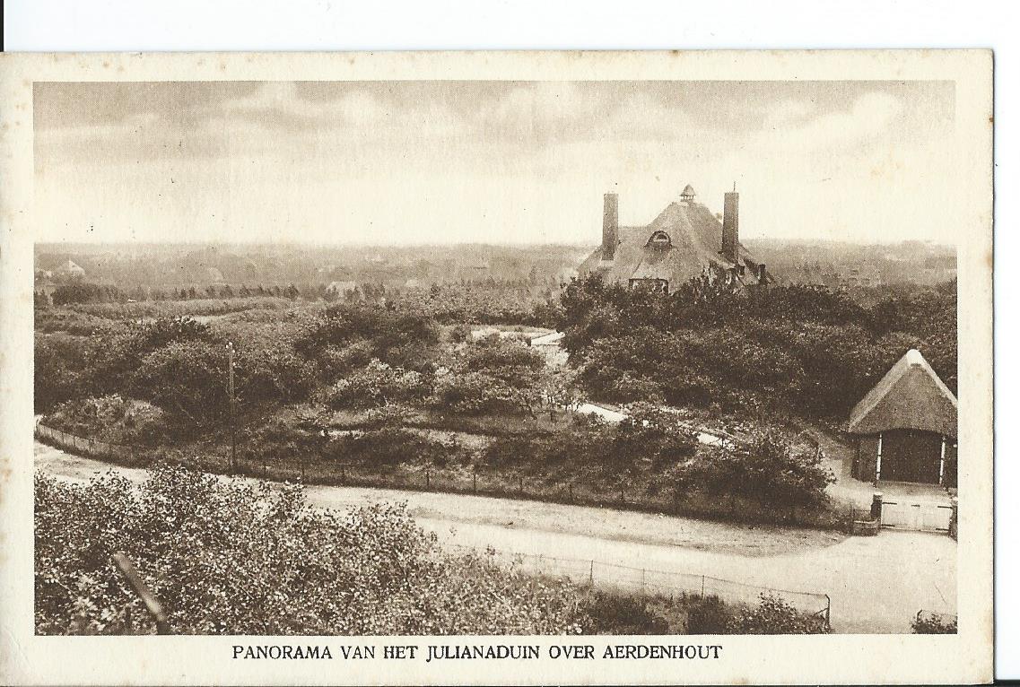 Aerenhout (NH), Panorama van het Julianaduin over Aerdenhout, 2710