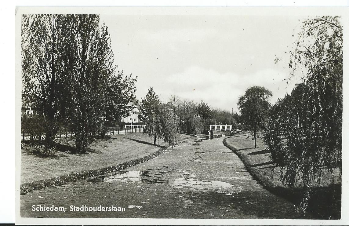 Schiedam (ZH), Stadhouderslaan