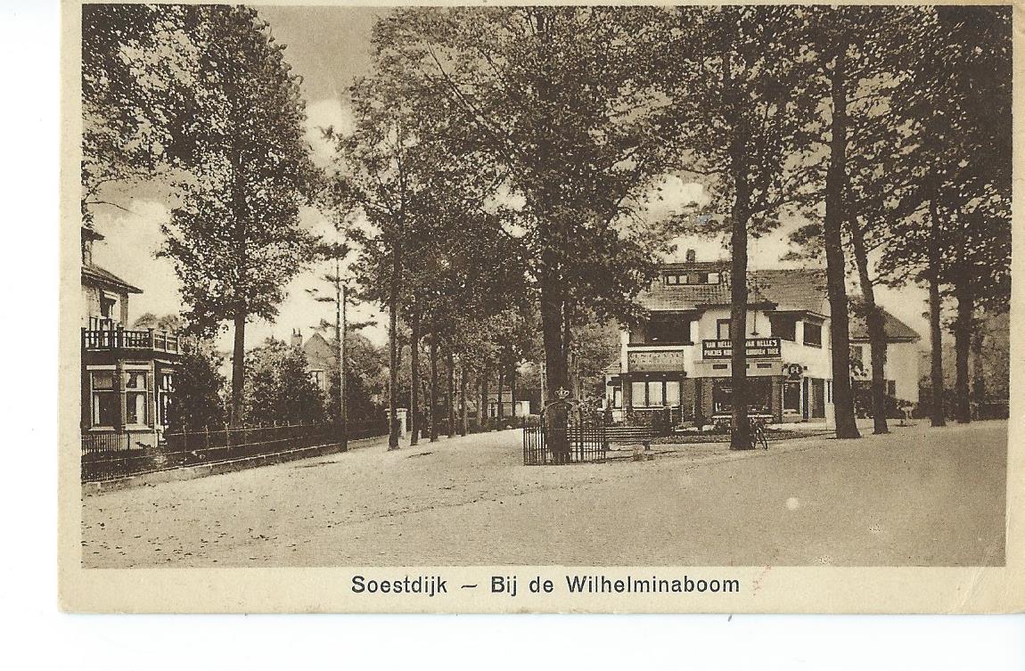 Soestdijk (UT), Bij de Wilhelminaboom