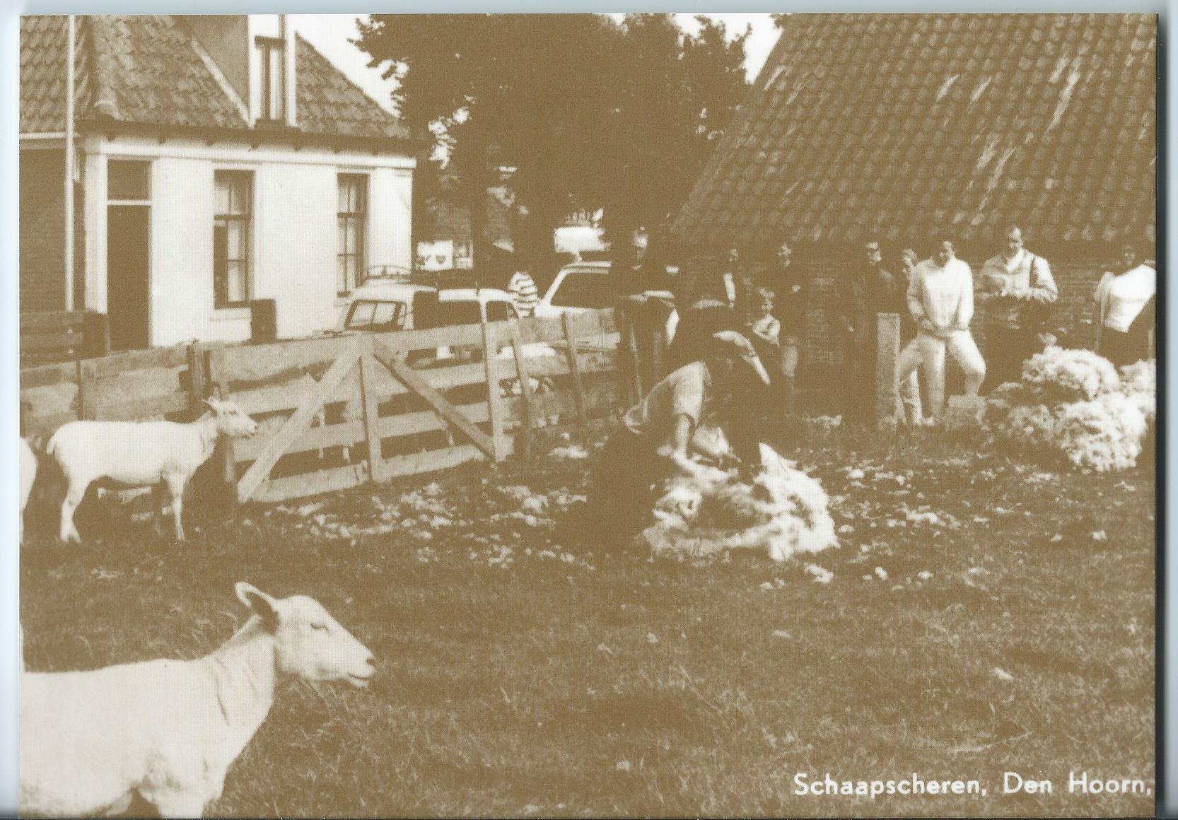 Texel (NH), Boek: Texel in oude ansichtkaarten