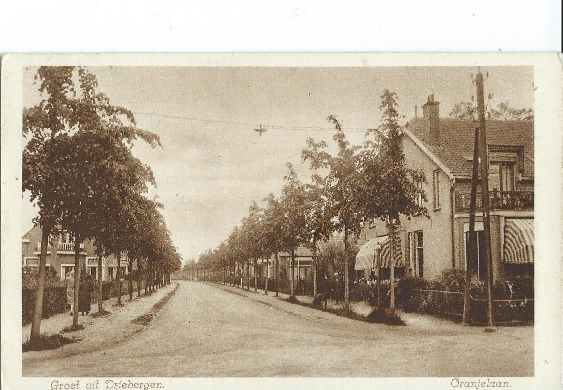 Driebergen (UT), Oranjelaan