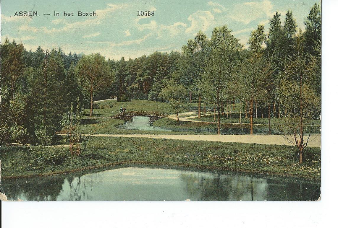 Assen (DR), In het Bosch