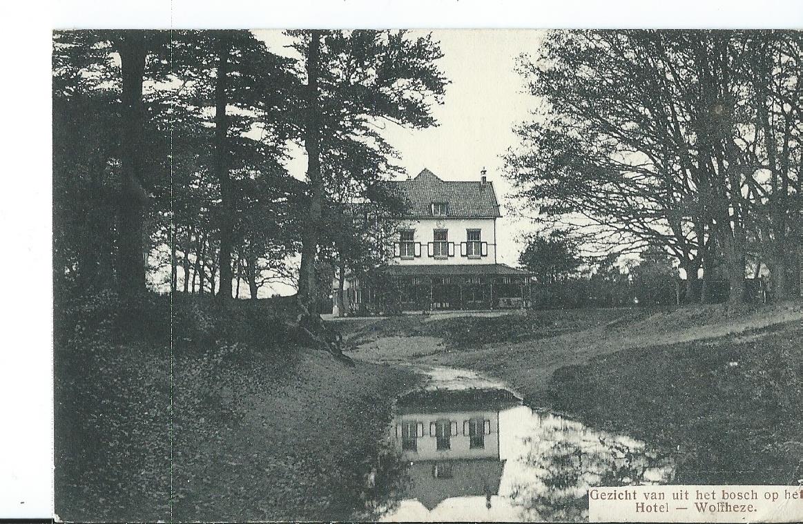 Wolfheze (GL), Gezicht van uit het bosch op het Hotel, 2764
