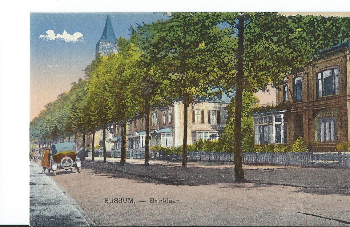 Bussum (NH), Brinklaan