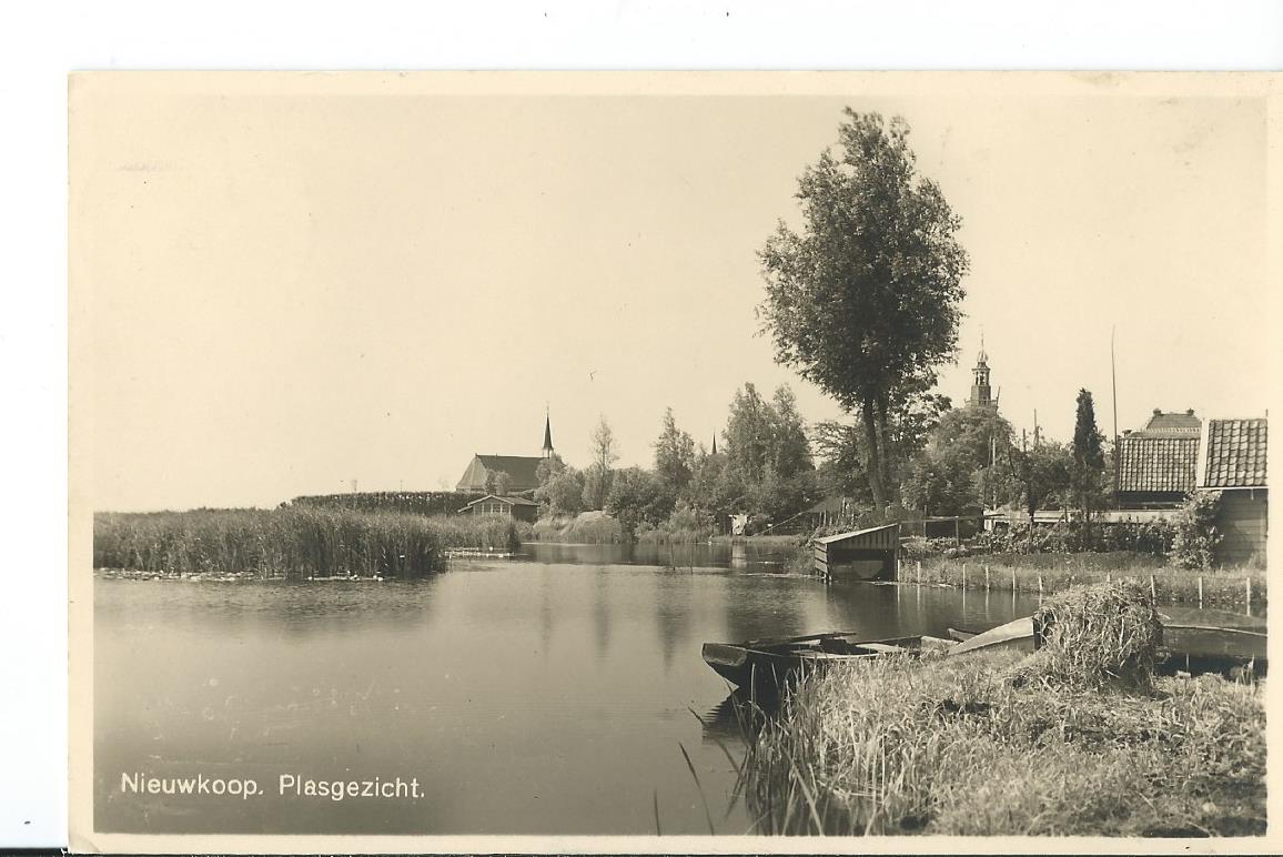 Nieuwkoop (ZH), Plasgezicht, 2664