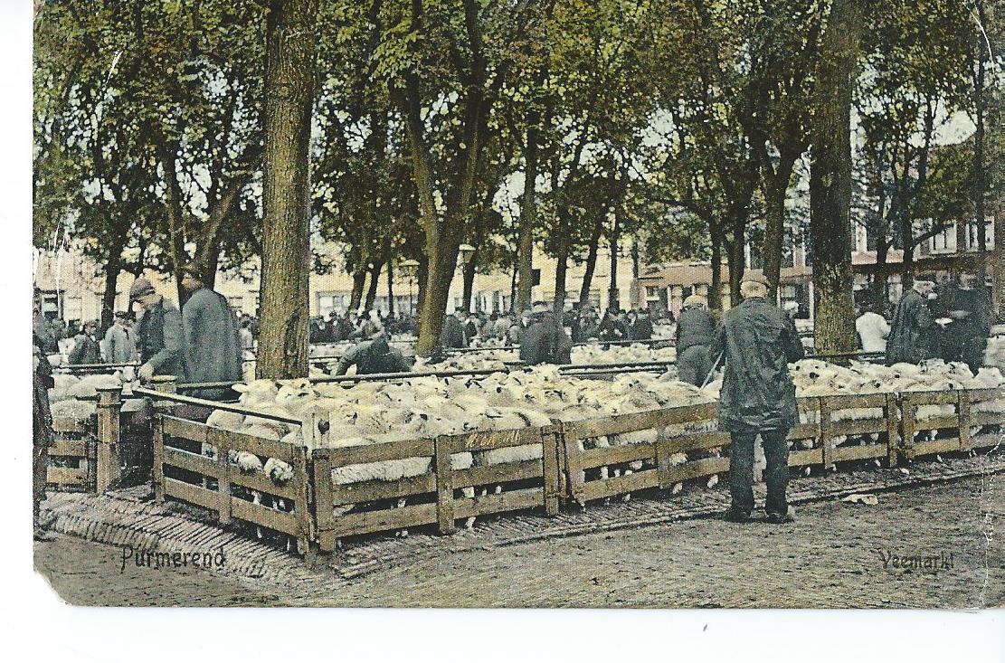 Purmerend (NH), 1355, Veemarkt
