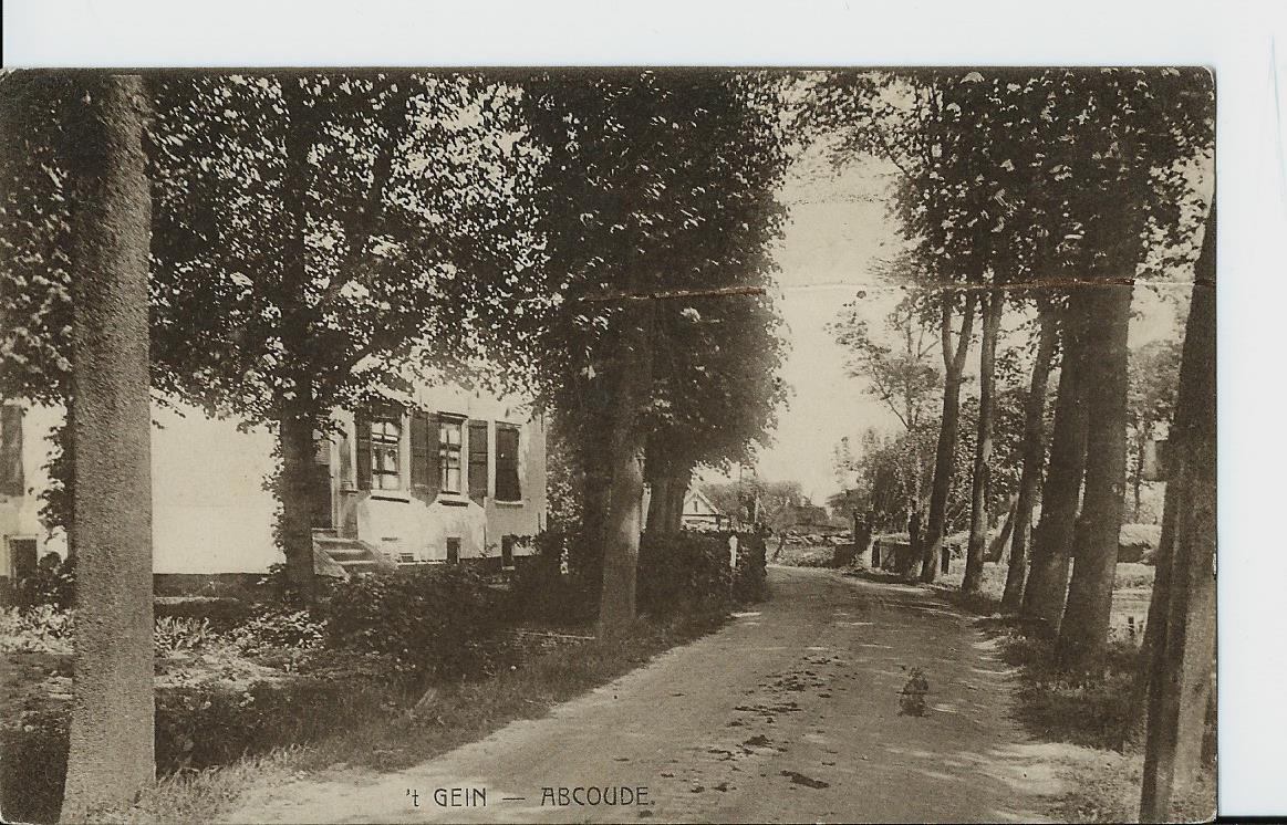 Abcoude (UT), 't Gein - 2462