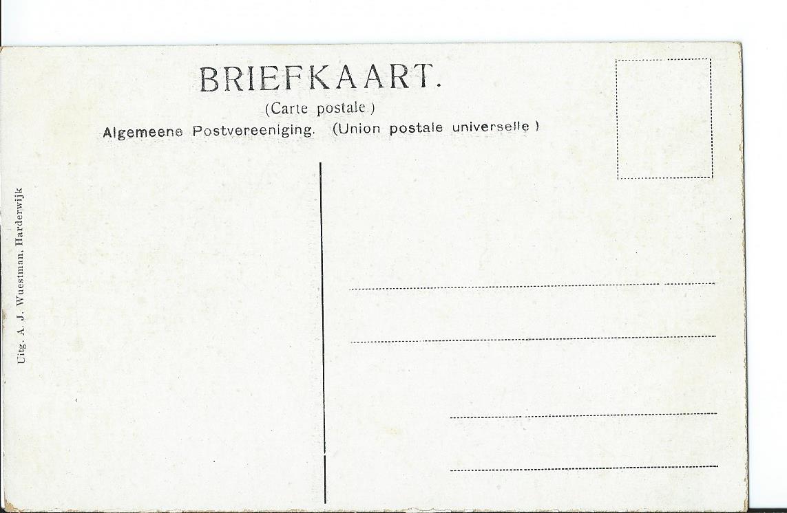 Veluwe (GL), Kudde schapen op de Veluwe