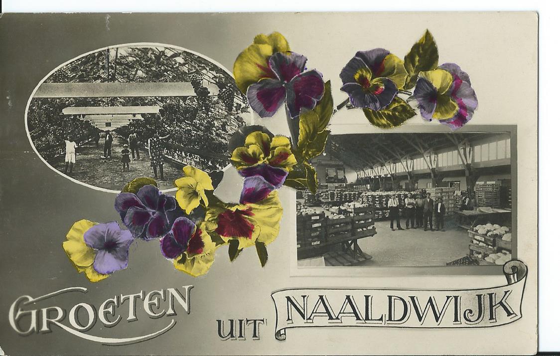 Naaldwijk (ZH), Groeten