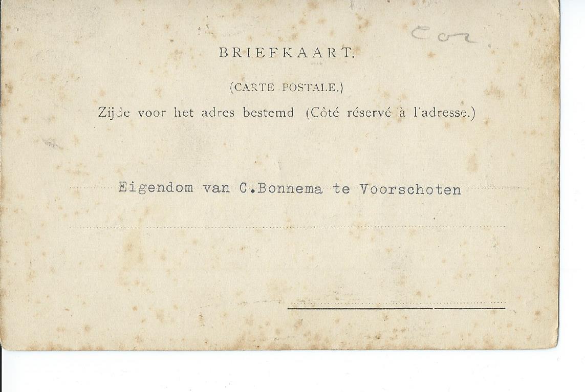 Pingjum (FR), Groet, Kaatsburen,  2806