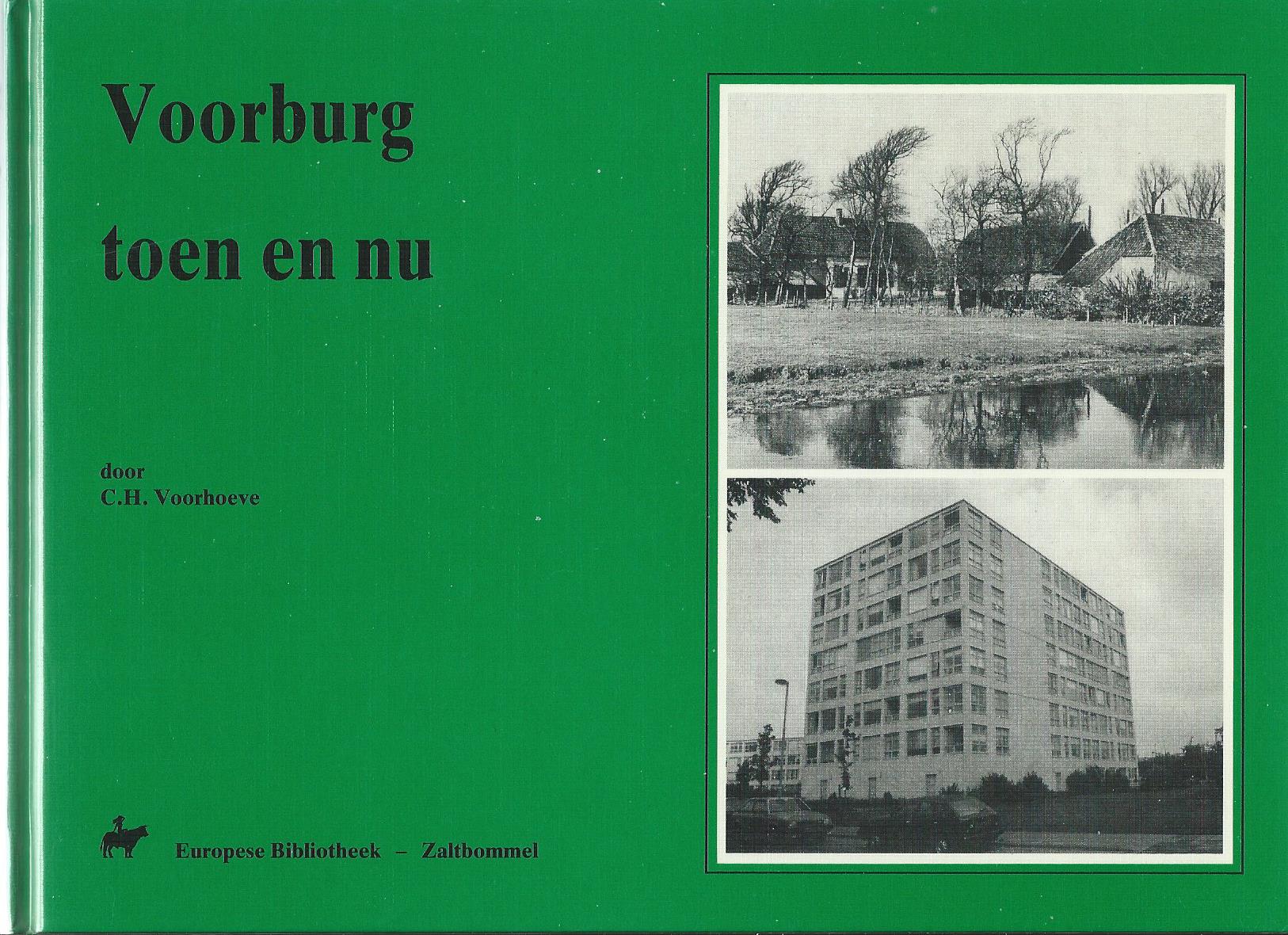 Voorburg (ZH), Boek: Voorburg toen en nu