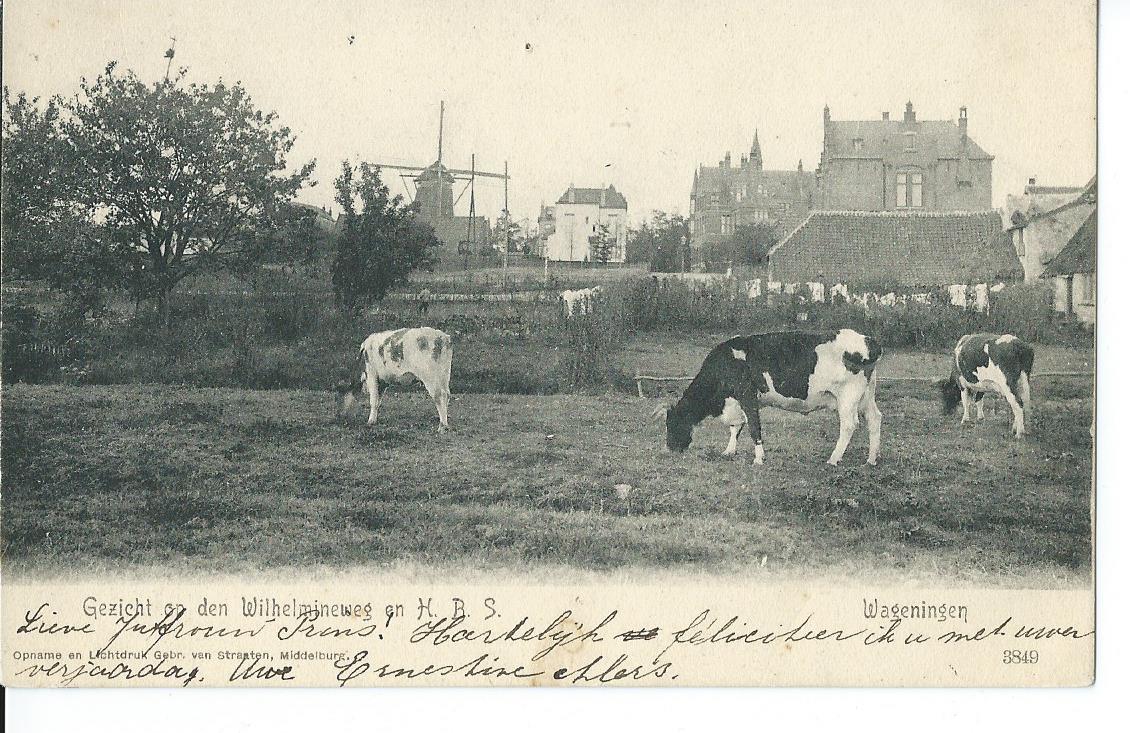 Wageningen (GL), Gezicht op den Wilhelmineweg en H.B.S., 2738