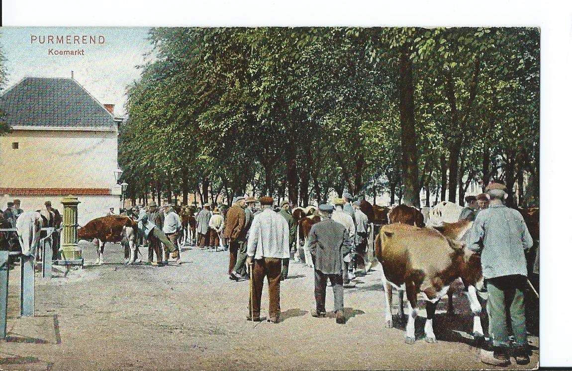 Purmerend (NH), Koemarkt